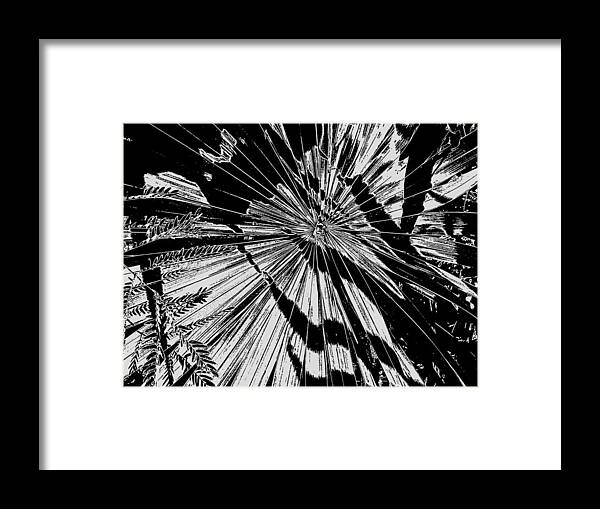 Tropical Framed Print featuring the photograph Tropix Noir by Jessica Levant