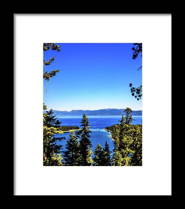 Alcatraz Framed Print featuring the photograph Trough the trees by Camille Lopez