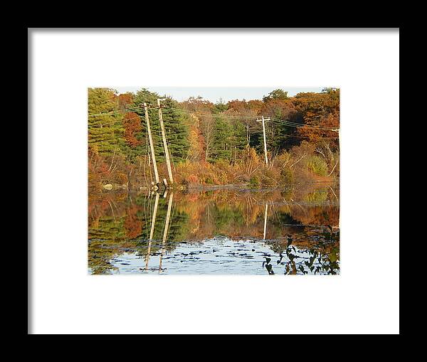 Pond Framed Print featuring the photograph True Reflections by Barbara Hayes