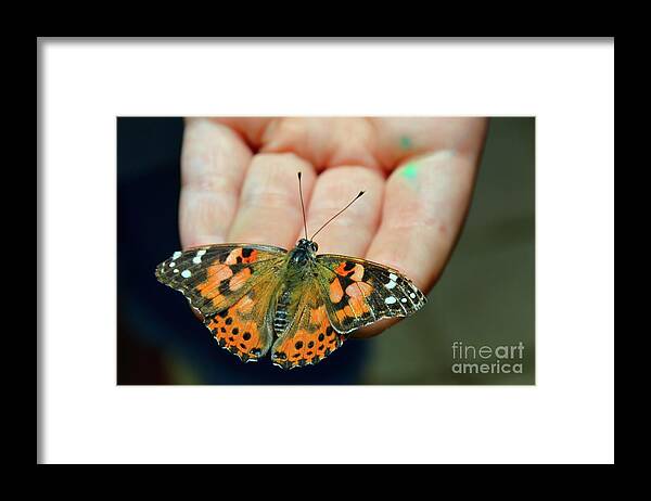 Butterfly Framed Print featuring the photograph Trust by Robyn King