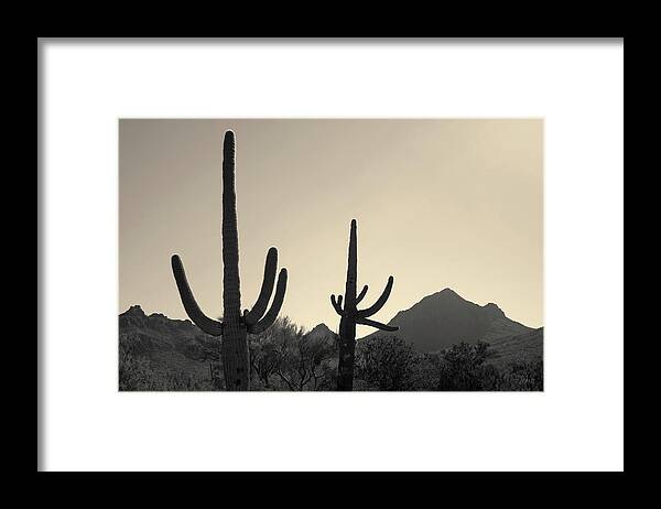 Landscape Framed Print featuring the photograph Tucson IV Toned by David Gordon