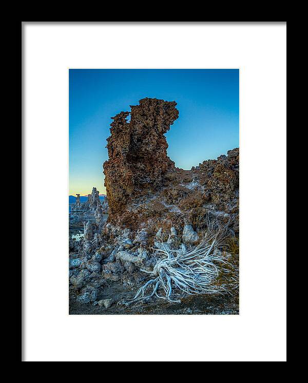 Formation Framed Print featuring the photograph Tufa and Roots by Rikk Flohr