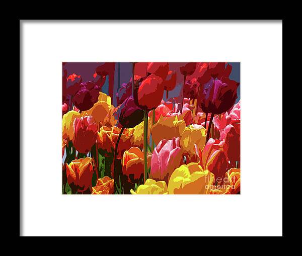Tulips Framed Print featuring the photograph Tulip Confusion by Sharon Talson