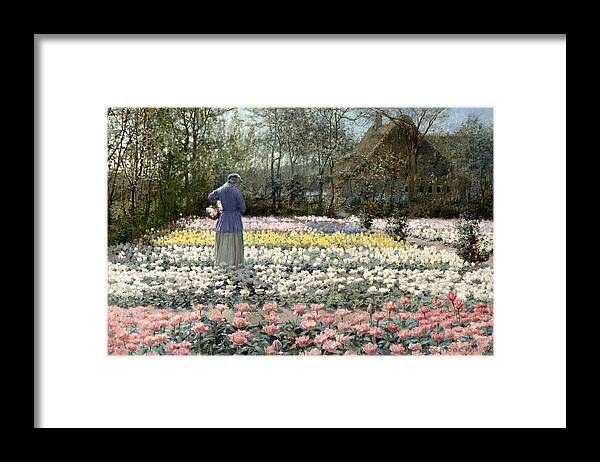 George Hitchcock Framed Print featuring the painting Tulip Culture by George Hitchcock