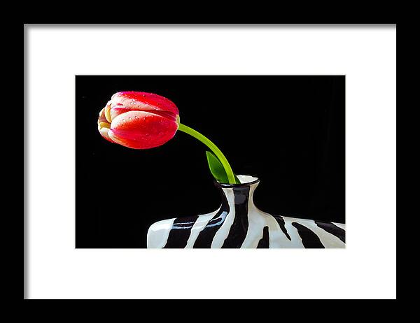 Leaf Framed Print featuring the photograph Tulip In Striped Vase by Garry Gay