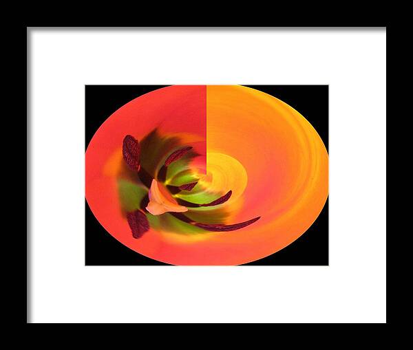 Abstract Framed Print featuring the photograph Tulip Mystery by Carolyn Jacob