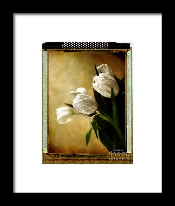 Flowers Framed Print featuring the photograph Tulip Side Sepia by Linda Olsen