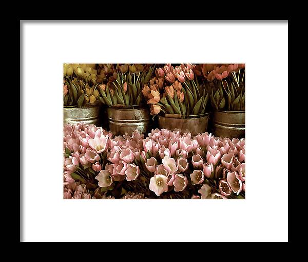 Flowers Framed Print featuring the photograph Tulip Tones by Jessica Jenney