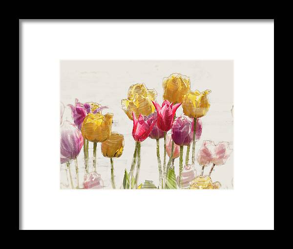 5dii Framed Print featuring the digital art Tulipe by Mark Mille