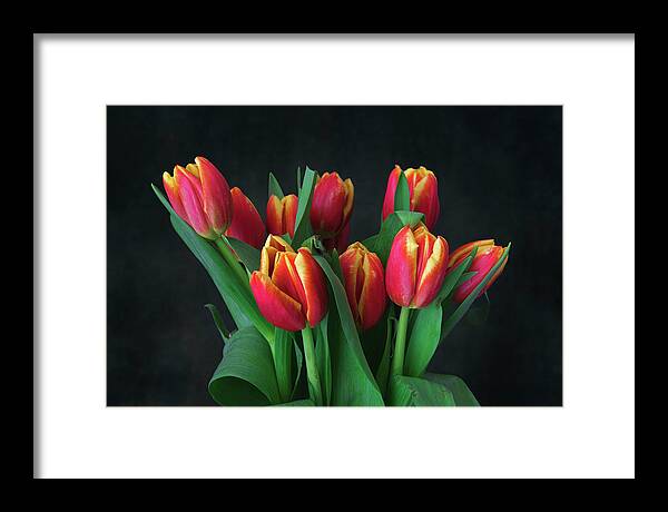 Beauty Product Framed Print featuring the photograph Bouquet of red tulips by Giovanni Allievi