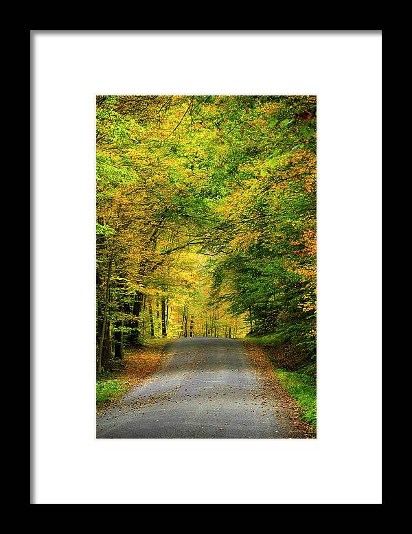 Fall Trees Framed Print featuring the photograph Tunnel Of Trees Rural Landscape by Christina Rollo