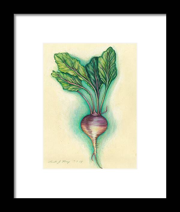 Turnip Framed Print featuring the drawing Turnip by Linda Nielsen