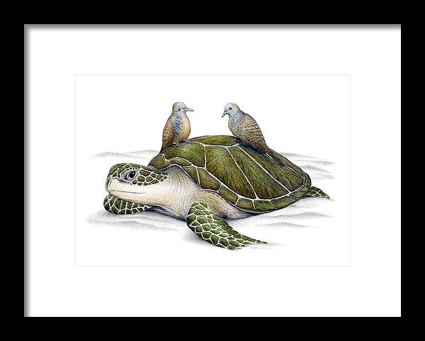 Ocean Framed Print featuring the painting Turtle Doves by Don McMahon