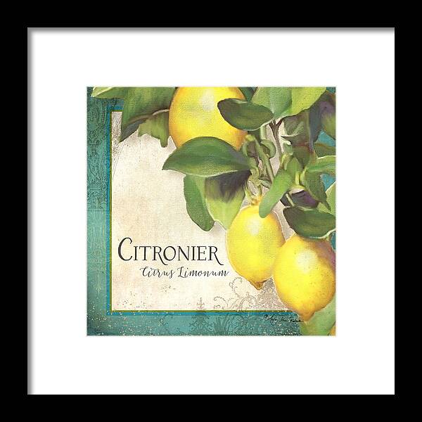 Lemon Framed Print featuring the painting Tuscan Lemon Tree - Citronier Citrus Limonum Vintage Style by Audrey Jeanne Roberts