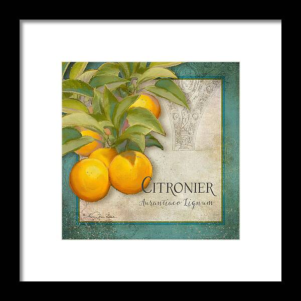 Orange Framed Print featuring the painting Tuscan Orange Tree - Citronier Aurantiaco Lignum Vintage by Audrey Jeanne Roberts
