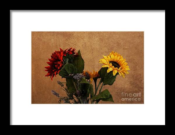 Sunflower Framed Print featuring the photograph Tuscan Sunflowers by Stephanie Laird