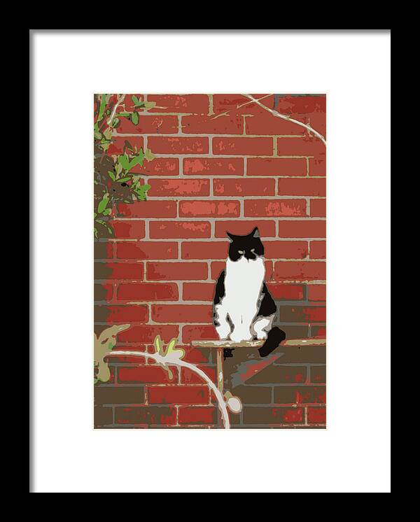 Vertical Photo Framed Print featuring the photograph Tuxedo Cat on Bench by Valerie Collins