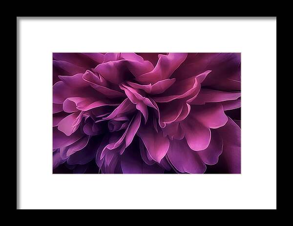 Flower Framed Print featuring the photograph Twilight Breeze by Darlene Kwiatkowski