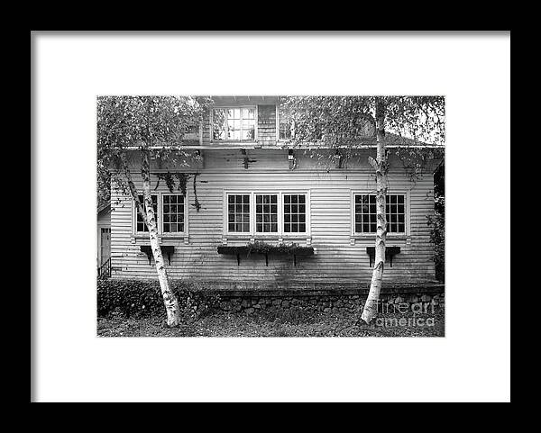 House Framed Print featuring the digital art Twin Birches by Dianne Morgado