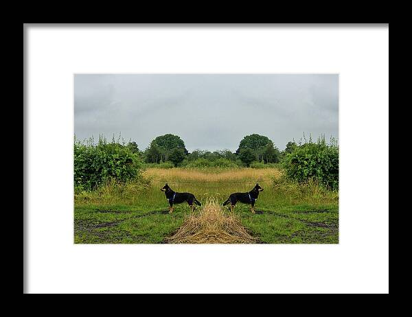 Cheshire Framed Print featuring the photograph Twin Guards by Kathy K McClellan