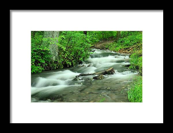 Water Framed Print featuring the photograph Twin Springs Summer by Bonfire Photography