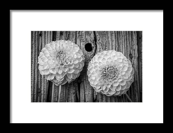Large Framed Print featuring the photograph Two Black And Whte Dahlias by Garry Gay