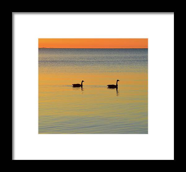 Abstract Framed Print featuring the digital art Two Canadian Geese by Lyle Crump