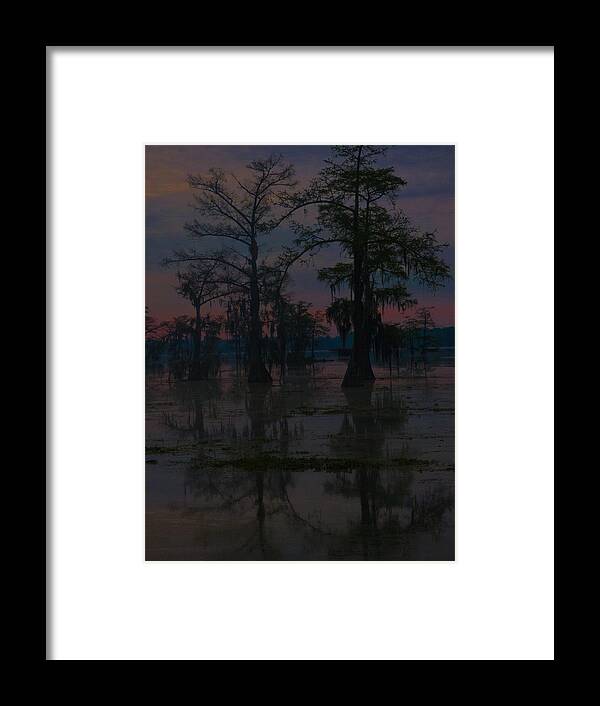Orcinus Fotograffy Framed Print featuring the photograph Two Cypress At Dawn by Kimo Fernandez