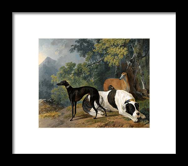 Sawrey Gilpin Framed Print featuring the painting Two greyhounds and a Mastif belonging to the Duke of Hamilton by Sawrey Gilpin