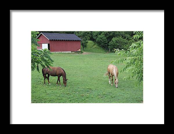 Horse Framed Print featuring the photograph Two Horses and a Barn by Allen Nice-Webb