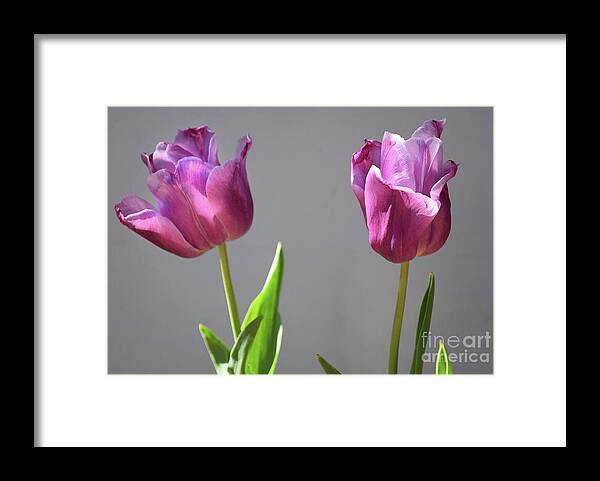 Nature Framed Print featuring the photograph Two-lips by Skip Willits