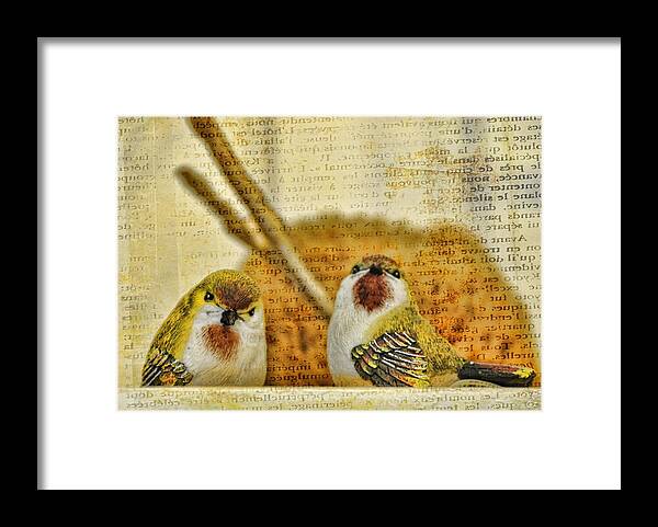Birds Framed Print featuring the photograph Two Little Birds by Jan Amiss Photography