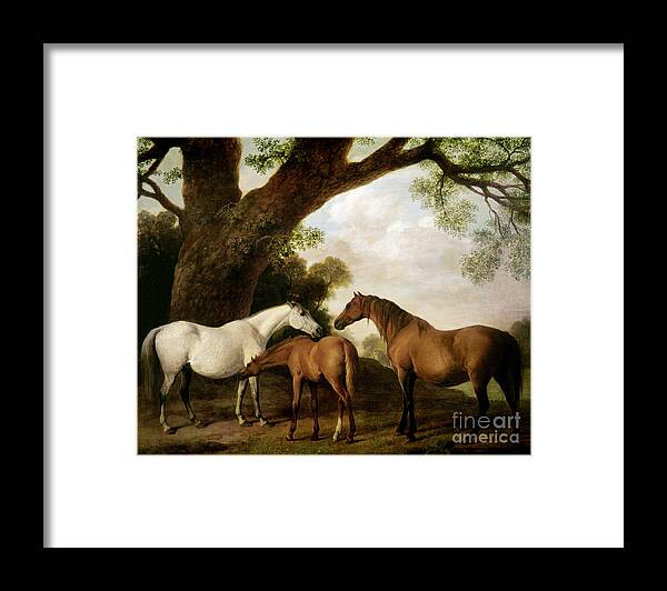 Two Framed Print featuring the painting Two Mares and a Foal by George Stubbs
