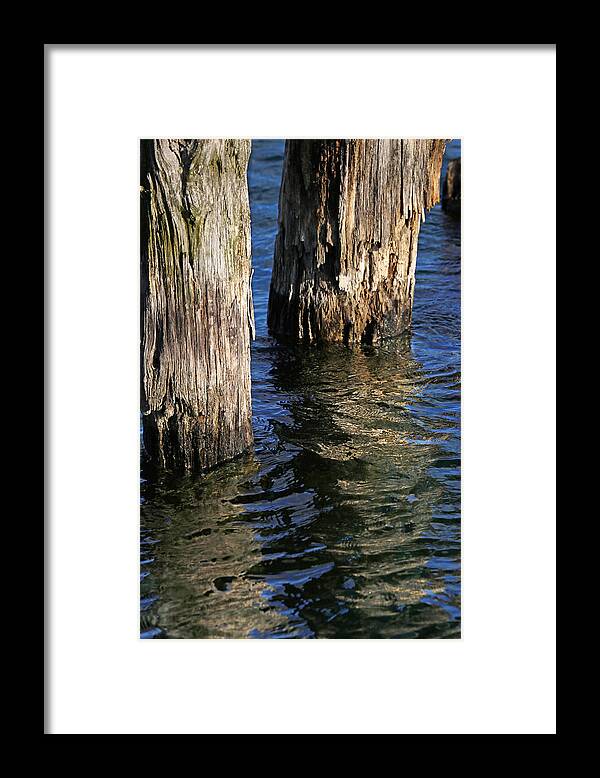 Pilings Framed Print featuring the photograph Two Old Pilings 4 by Mary Bedy