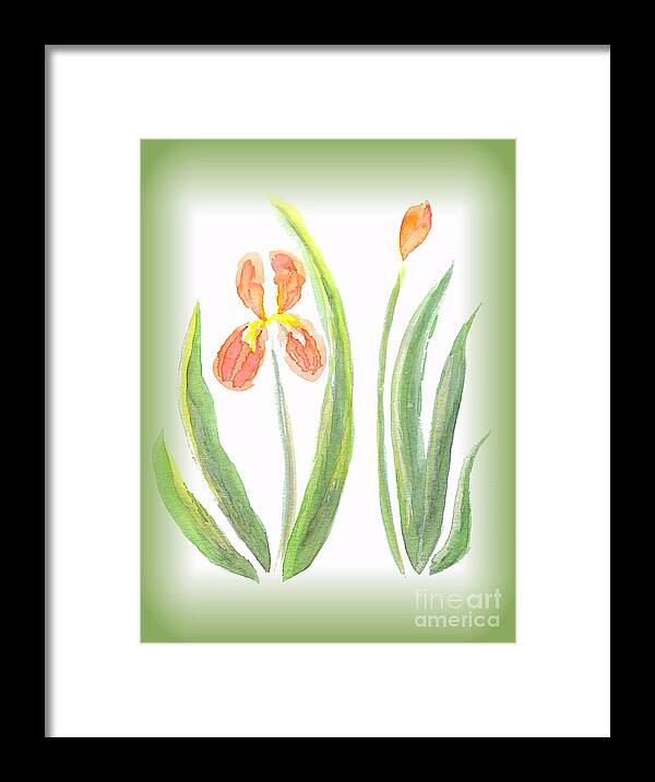 Art Framed Print featuring the painting Two Orange Iris green frame by Delynn Addams
