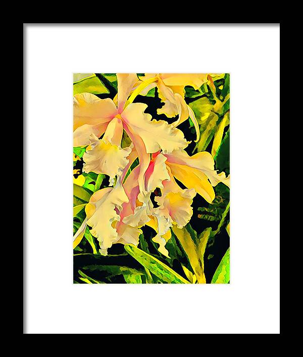 #flowersofaloha #flowers # Flowerpower #aloha #hawaii #aloha #puna #pahoa #thebigisland #twoorchidsinyellow #orchids #yellow #two Framed Print featuring the photograph Two Orchids in Yellow by Joalene Young