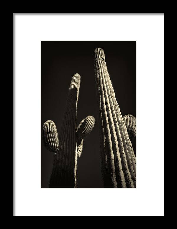 Arizona Framed Print featuring the photograph Two Tall Saguaros by Roger Passman