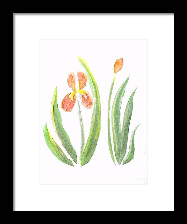Art Framed Print featuring the painting Two Iris II watercolor by Delynn Addams