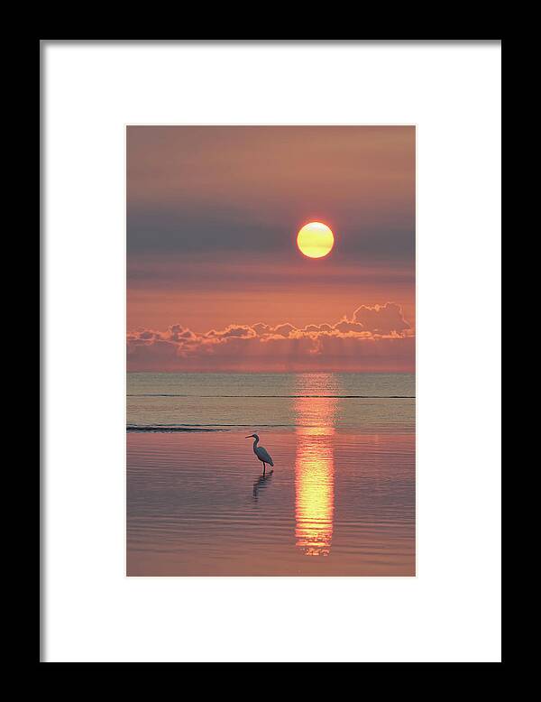 Egret Framed Print featuring the photograph Under a southern Sun by Robert Charity