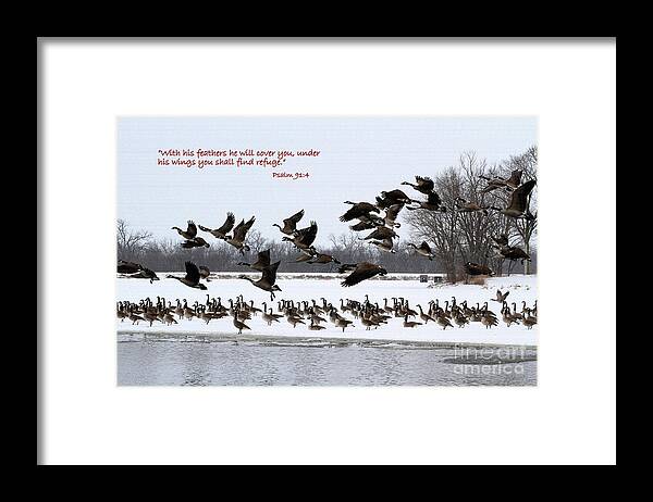 Geese Framed Print featuring the photograph Under his Wings by Rick Rauzi