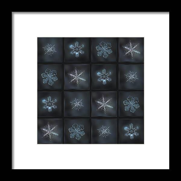 Snowflake Framed Print featuring the photograph Under the grey sky II by Alexey Kljatov