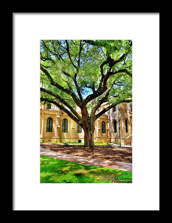 Under The Old Oak Tree Framed Print featuring the photograph Under The Old Oak Tree by Lisa Wooten
