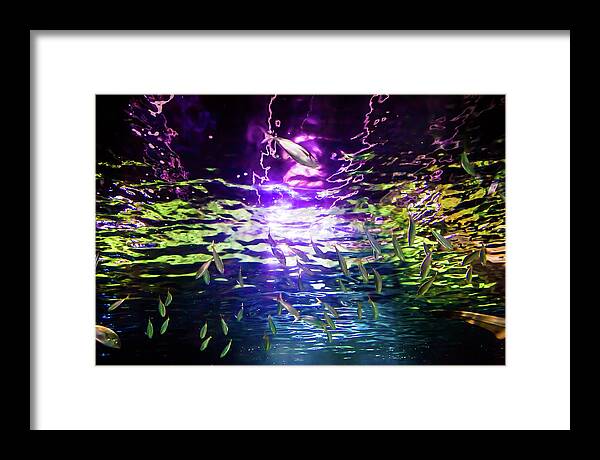 Under Water Framed Print featuring the photograph Under The Rainbow by Az Jackson