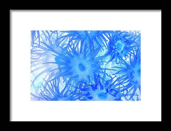 Florida Framed Print featuring the photograph Under the Sea Colorful Watercolor Art #14 by Debra and Dave Vanderlaan