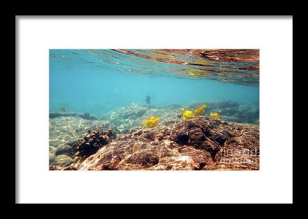 Underwater Framed Print featuring the photograph Under the Sea by Karen Nicholson