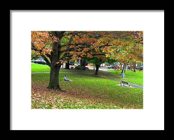 Landscapes Framed Print featuring the photograph Under the Shade Tree by Steven Clark