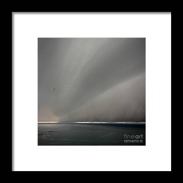 Photography By Paul Davenport Framed Print featuring the photograph Under the weather with fleeing gull by Paul Davenport