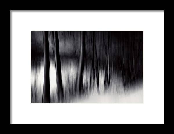 Forest Framed Print featuring the photograph Undertones by Dorit Fuhg