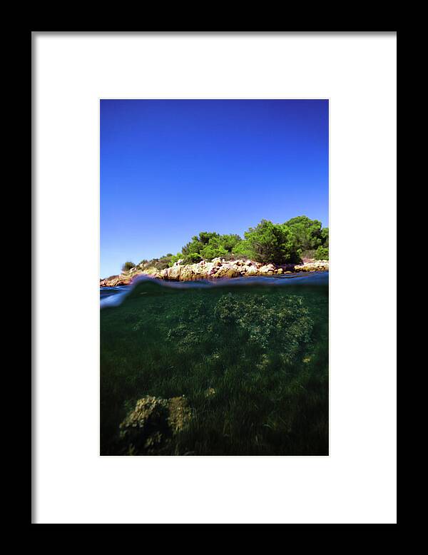 Underwater Framed Print featuring the photograph Underwater Life by Gemma Silvestre