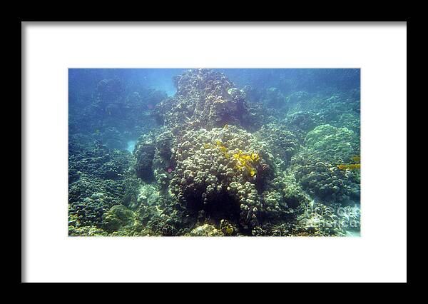 Underwater Framed Print featuring the photograph Underwater World by Karen Nicholson
